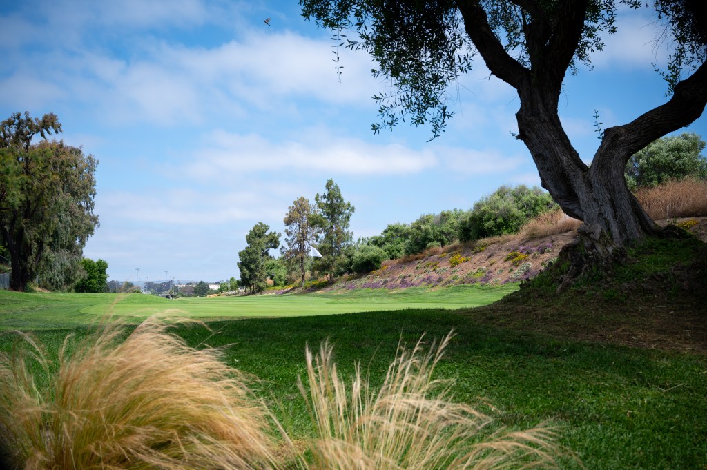 Course Overview - Shorecliffs Golf Club